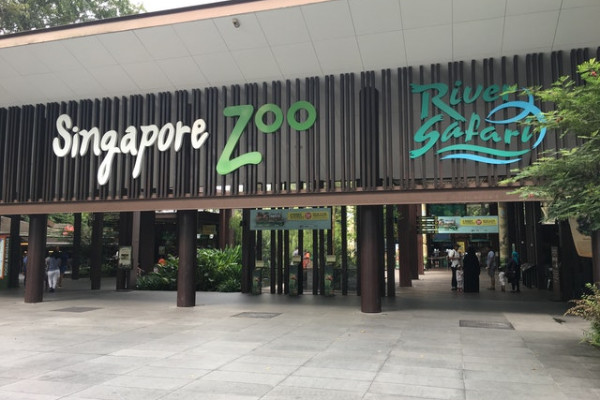싱가포르 동물원